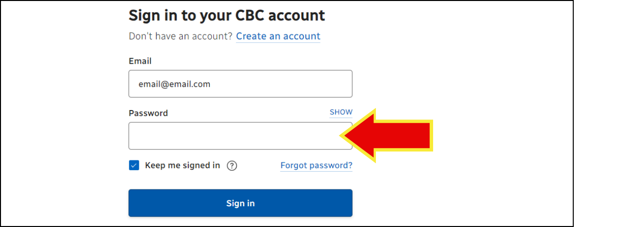 Arrow points to password text field.