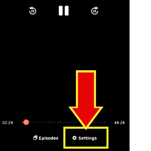 Screenshot of settings option.