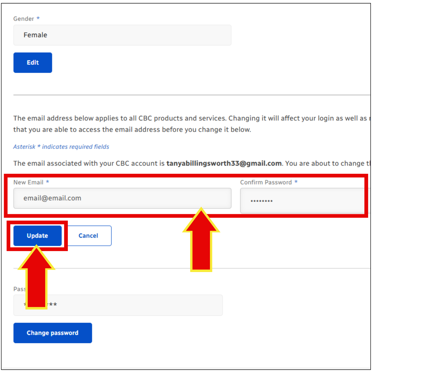 screenshot of new email field and update button.