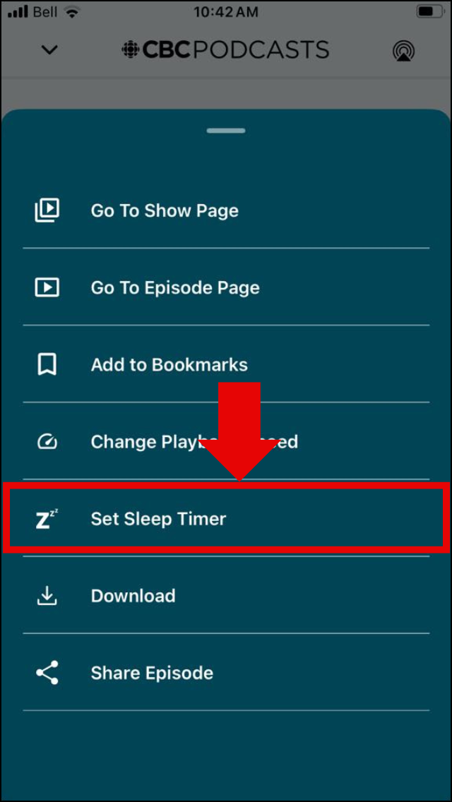 Screenshot of Sleep Timer button.